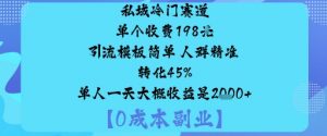 私域冷门赛道:单个收费198米引流模板简单人群精准转化45%单人一天大概收益是1k+-小宇资源站
