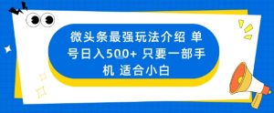 微头条最强玩法介绍一个号日入5张+只要一部手机适合小白-小宇资源站