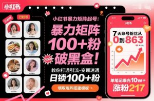小红书暴力矩阵起号，教你打通引流-变现速通，日锁100+粉，破流量黑盒-小宇资源站