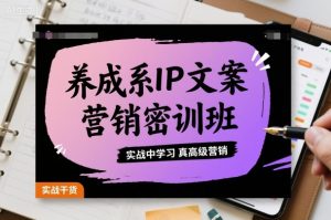 养成系IP文案营销密训班,实战中学习真高级营销-小宇资源站