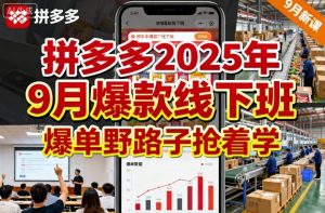 拼多多2025年9月爆款线下班,爆单野路子抢着学-小宇资源站