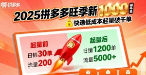 2025拼多多旺季新老店铺——快速低成本起量破千单-小宇资源站