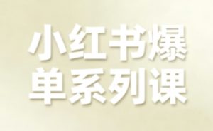小红书爆单系列课，聚焦小红书电商全链路增长-小宇资源站