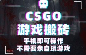 CSGO游戏挂G捡漏，单日扫货5张+，年底小高峰上车可吃肉，手机即可操作，兼职副业创业网创【揭秘】-小宇资源站