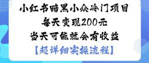 小红书暗黑小众冷门项目每天变现2张当天可能就会有收益-小宇资源站